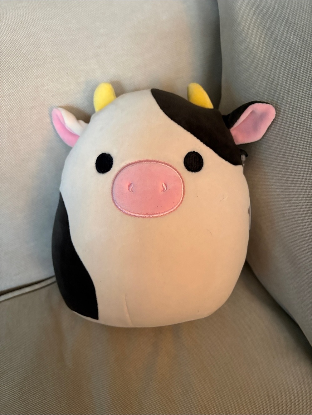 Squishmallow Cow Connor
